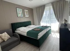 Alfa Apartment Free Garage Parking AC near CITY CENTER