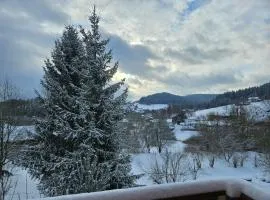 Privat-Zimmer in Hotel am Pfahl