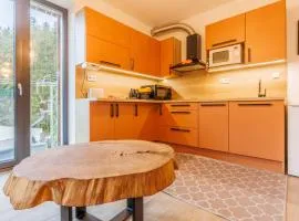Apartmán Anetta Herlíkovice - 45m2 with balkony near cable car to hill Žalý and ski slope