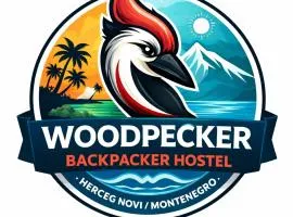 Woodpecker Backpacker Hostel