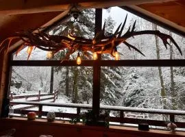 Chalet : le moulin du sagard