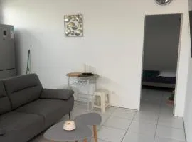 Charmant T2 sur le robert