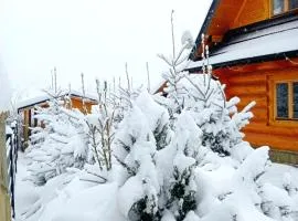 Domek drewniany - Czerwienne