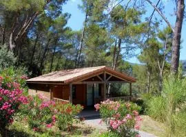 Lovely Home In Solliès Toucas With Sauna