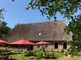 B&B en theetuin Loodiep
