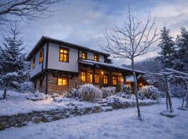 Traditional Cottage - Vila Samovila, hotel em Delčevo