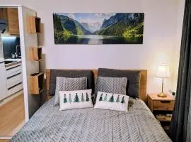 Stella di Sella Nevea