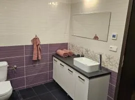 Brno in 20 min House with Pergola & Free parking