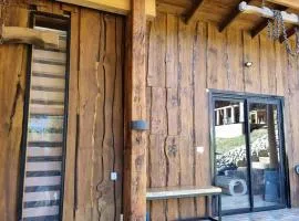 Cabañas entre coihues