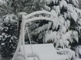 Holiday House Valiug