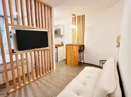 departamento en el centro de mendoza