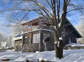 Darázshegyi Panzió gluténmentes félpanzióval is