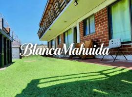 Departamentos y tinajas Blanquita mahuida，埃爾基斯科的飯店