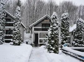 База відпочинку Forest Stream