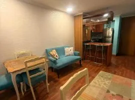 Apartamentos Manuel Montt Suites