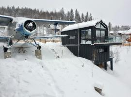 Mătişeşti에 위치한 빌라 Apuseni Air - Luna