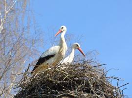Aux retour des cigognes d alsace, Hotel in Sarralbe