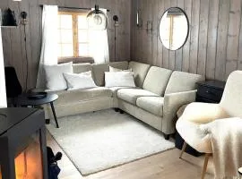 Modern Ski-In Retreat