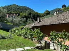 Zenzero Comfort Apartment