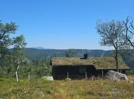 Magic View - Unspoiled nature - Summer mountain pasture with goats