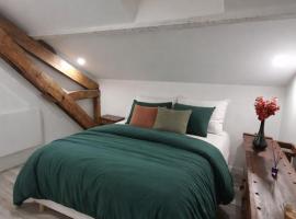 Lucy Studio - Centre Ville Wifi, Hotel in Périgueux