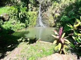 Oasis nature et cascade privée