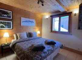 Beautiful spacious chalet 15 people ALPE d'Huzes et Tour de France