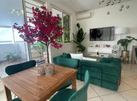 Tuanaki Heritage - F2 of 102m2 with Private Jacuzzi