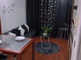 Apartsantiago