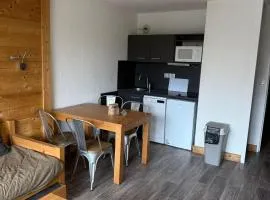 Studio au pied des pistes, animaux admis, balcon sud - FR-1-811-50