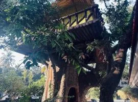Treehouse Retreat - Kochi