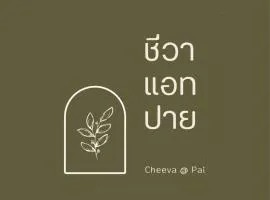 Cheeva at pai ชีวา แอท ปาย