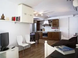 Apartment Roko