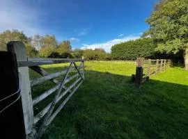 Charming Retreat with Sauna, Dog Swimming Pool, and Rural Charm