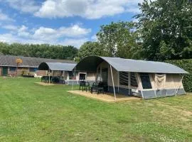 Minicamping De Lindenhoeve - Lodge tent Hondje