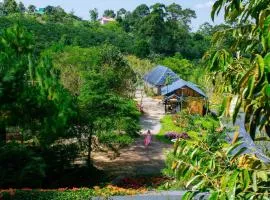 The Xanh AN Homestay3
