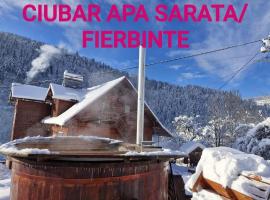 Pensiunea Cabana Viselor ,Apuseni, hotel en Vadu Moţilor