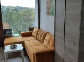 Apartman Krčmarica 20 LUX , Borovi 3