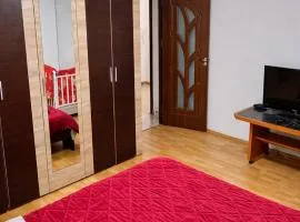 Apartament 70mp 3 camere 4 paturi acces pentru 7 persoane
