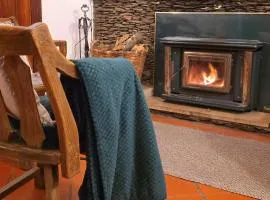 Casa do Rio, Natureza - Nova Gestão