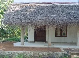 Peacock Garden Villa