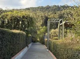 Woodcutters Forest Cottages