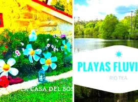 La Casa del Bosque del Agua y SPA Prexigueiro Obsequio entrada por persona a circuito termal