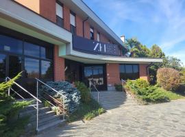 Zenit Park Hotel, hotel em Rivalta di Torino