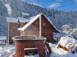Pensiunea Cabana Viselor ,Apuseni, hotel en Vadu Moţilor