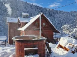 Pensiunea Cabana Viselor ,Apuseni