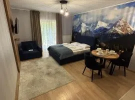 Apartament Górski pod Lasem