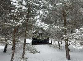 Cosy Cabin - domek na Kaszubach z sauną, balią i basenem, hotel v destinaci Stara Sikorska Huta