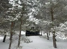 Cosy Cabin - domek na Kaszubach z sauną, balią i basenem