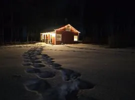 Auszeit und Natur - Lapland